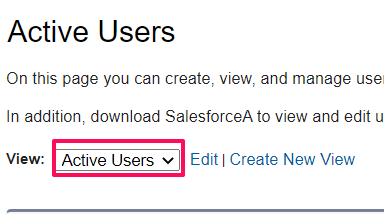 Active_Users_List_View.png