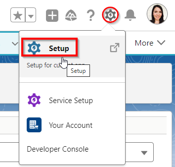 Setup Gear Icon.png